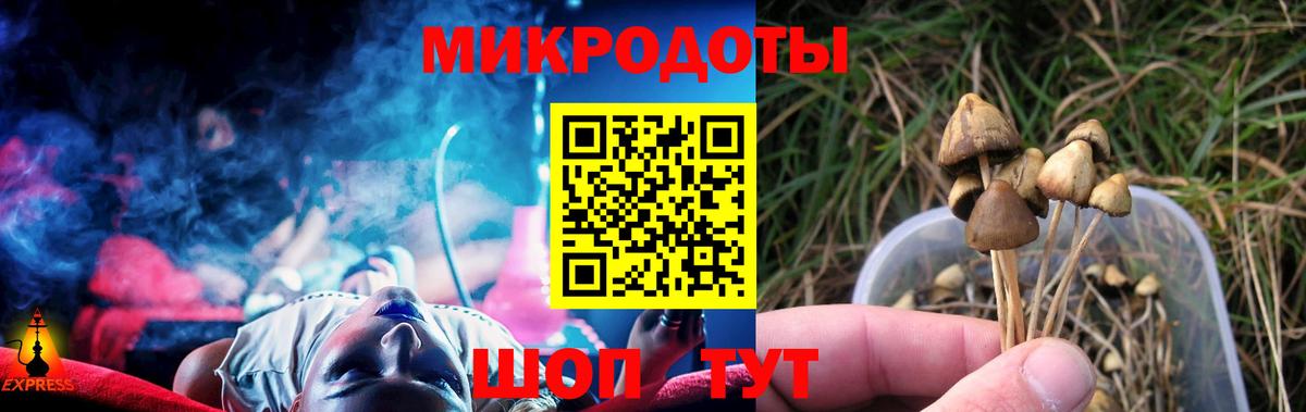 Галлюциногенные грибы MAGIC MUSHROOMS  Вход с VPN  Мирный 